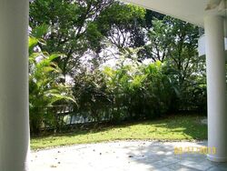 The Peak (D5), Condominium #499586301
